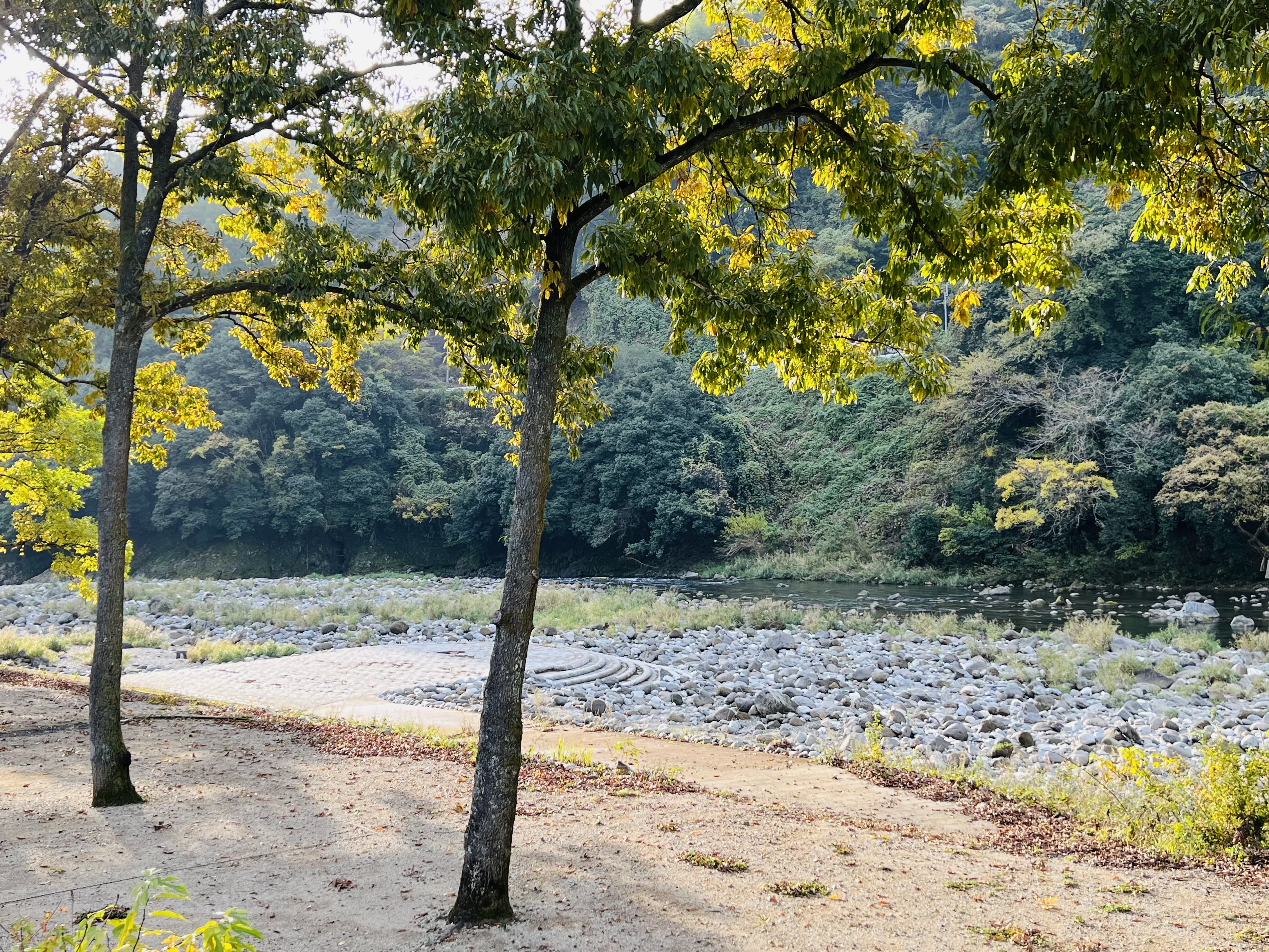 冬季限定デイキャンププラン登場!!